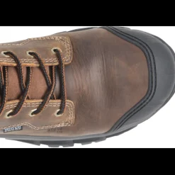 Carolina Men's Falcon 8
