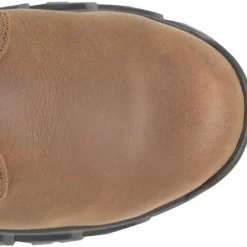 Carolina Men's Gruntz 6