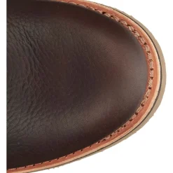 Chippewa Men's Colvile 6