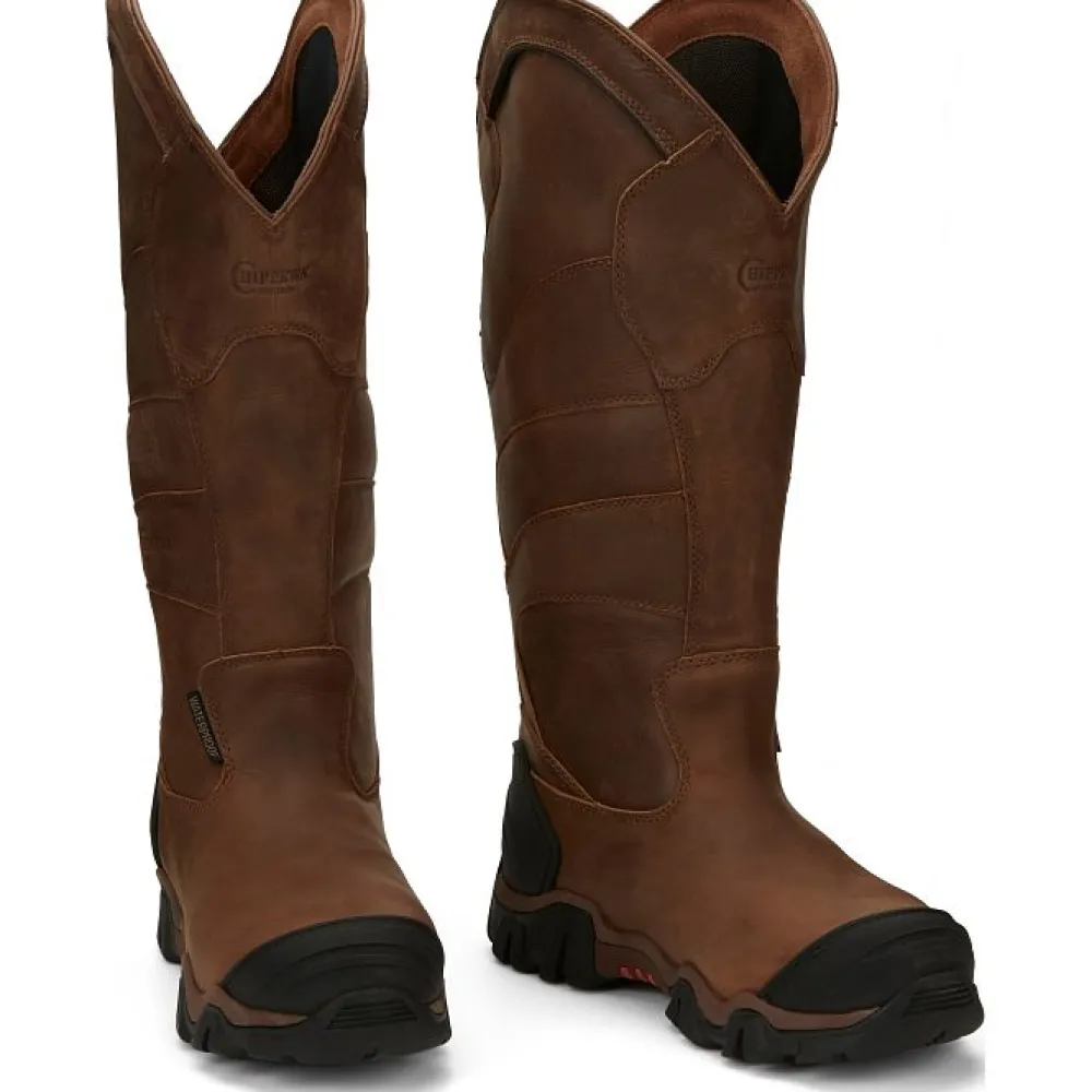 Women Chippewa Men's Cross Terrain 17" Comp Toe WP Pull-On Snake Hunt Boot- AE5034